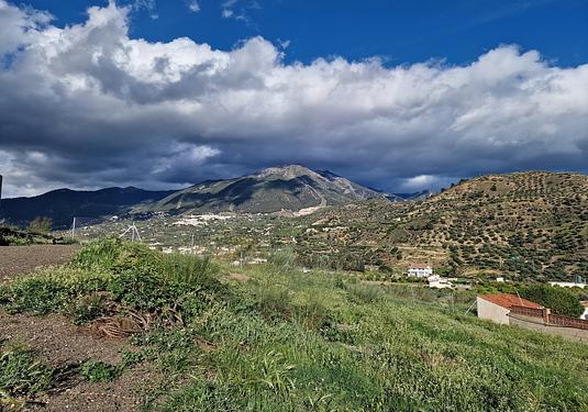 Land in Puente De Don Manuel