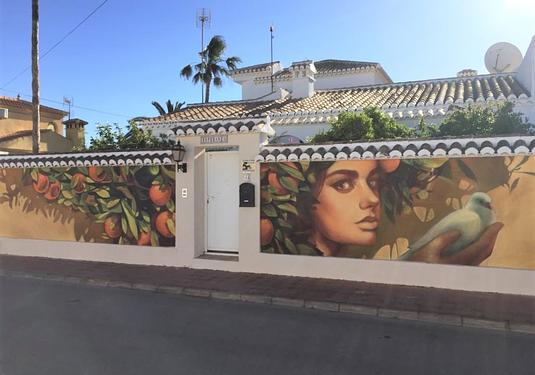 Villa in Torrevieja