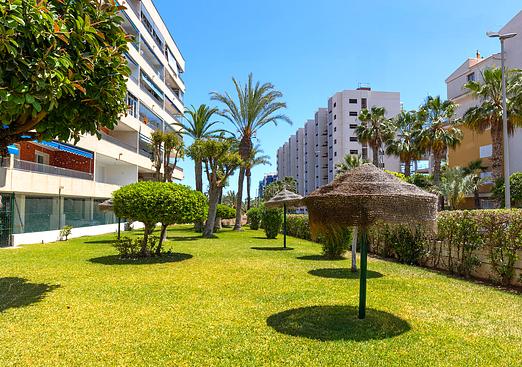 Apartment in Torrevieja