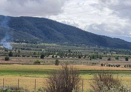 Country house in Yecla