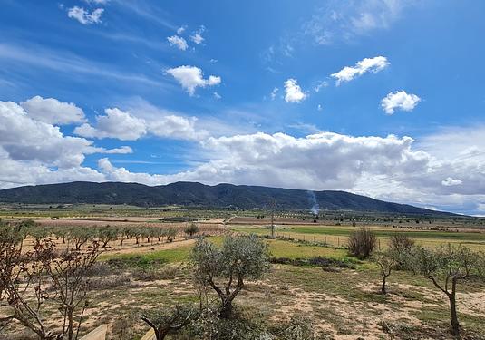Country house in Yecla