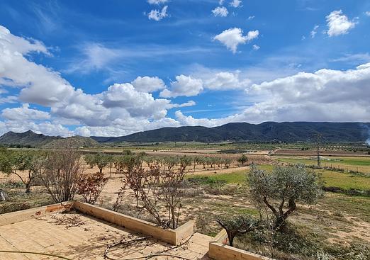 Country house in Yecla
