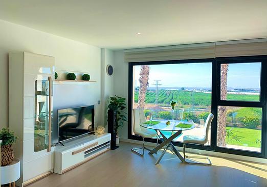 Apartment in Pilar de La Horadada