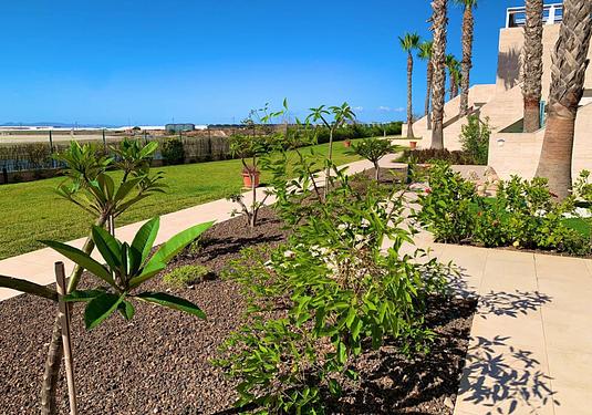 Apartment in Pilar de La Horadada