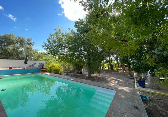 Country house in Albatera