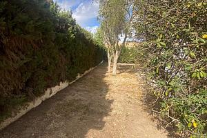 thumb 27