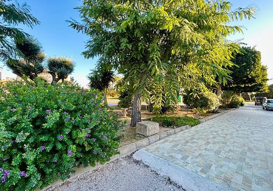 Property in Torrevieja
