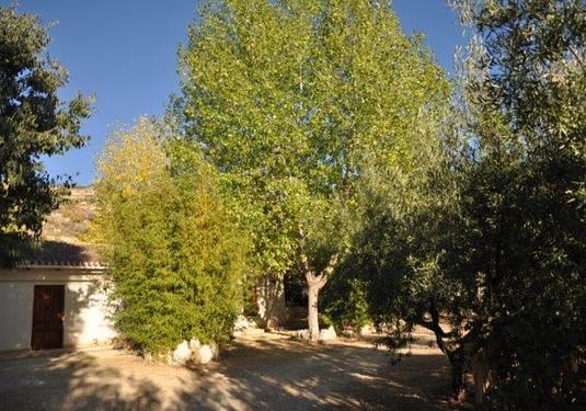 Finca in Torremanzanas