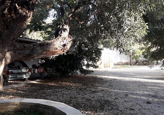 Finca in Torremanzanas