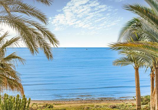 Apartment in Estepona