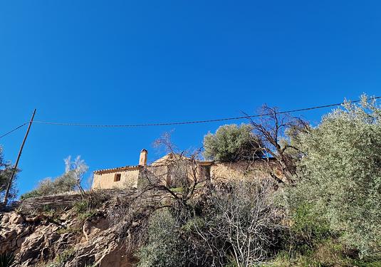 Commercial in Alcaucín