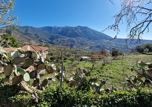 Commercial in Alcaucín