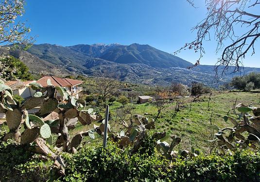 Commercial in Alcaucín
