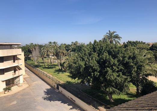 Apartment in Los Alcazares
