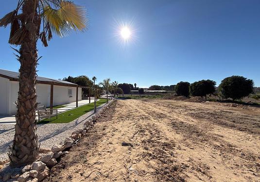 Land in Algorfa