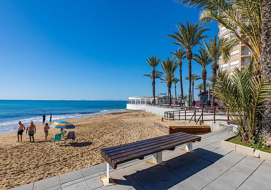 Apartment in Torrevieja