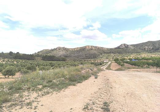 Country house in Jumilla