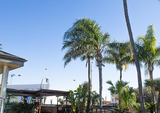 Villa in San Pedro del Pinatar