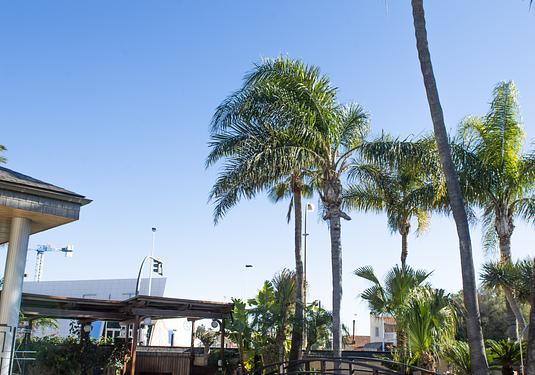 Villa in San Pedro del Pinatar