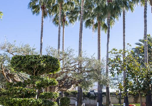 Villa in San Pedro del Pinatar