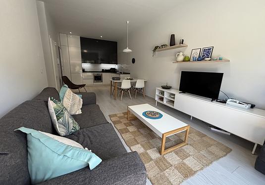 Apartment in Villamartin