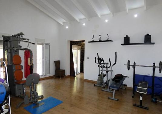Finca in Orihuela