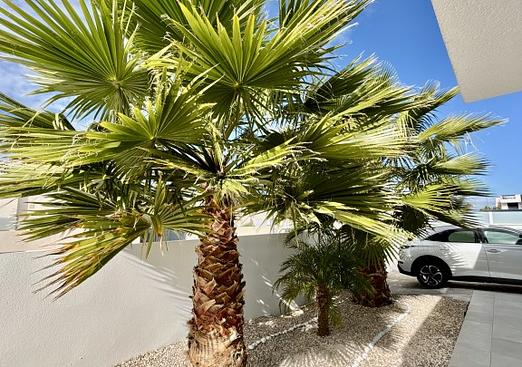 Villa in Benijofar