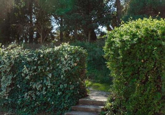 Country house in Alora