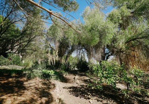 Country house in Alora