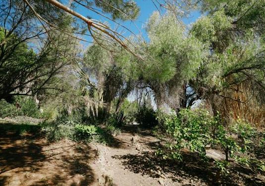 Country house in Alora