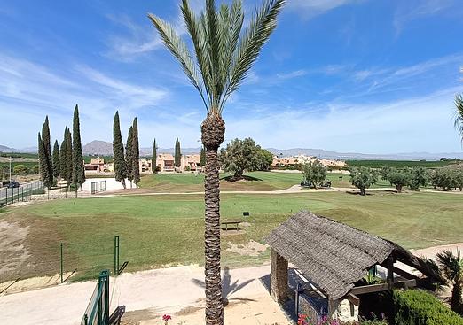Villa in Algorfa