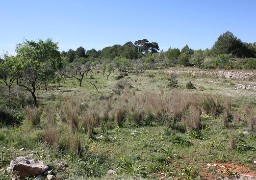Villa in Benissa