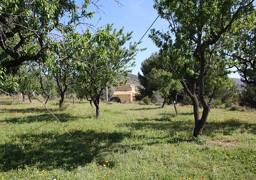 Villa in Benissa