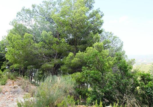 Land in Altea