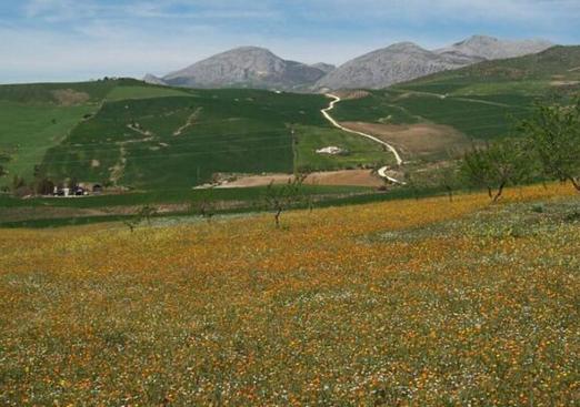 Country house in Valle de Abdalajis