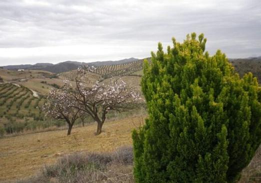 Country house in Valle de Abdalajis