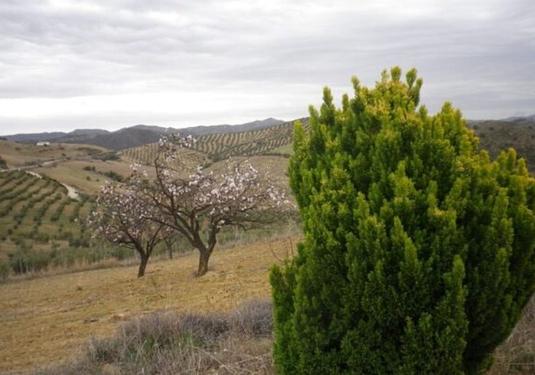Country house in Valle de Abdalajis