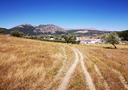 Land in Periana