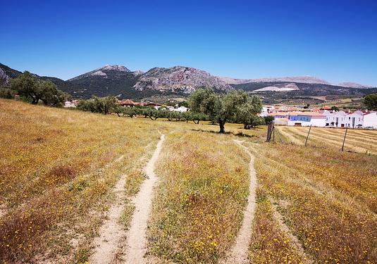 Land in Periana