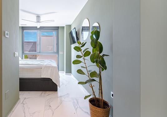 Villa in San Miguel de Salinas