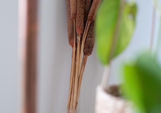 Villa in San Miguel de Salinas