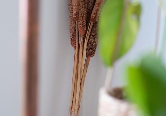 Villa in San Miguel de Salinas