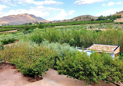 Villa in Murcia