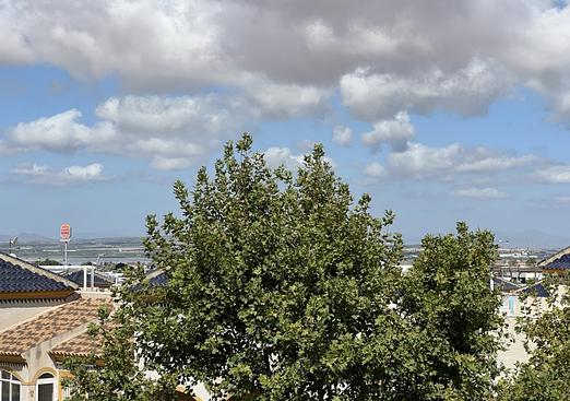 Commercial in Torrevieja