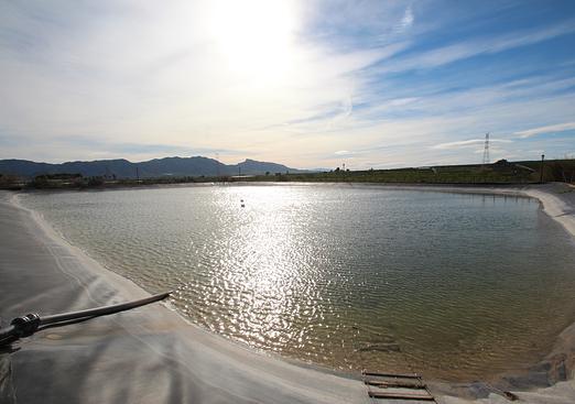 Finca in Murcia