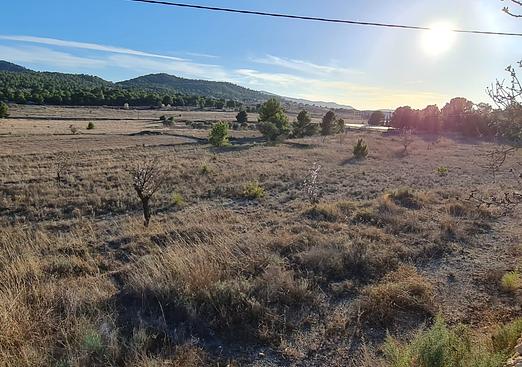 Land in Monóvar/Monóver