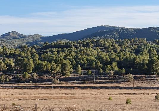 Land in Monóvar/Monóver