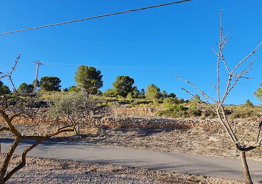 Land in Monóvar/Monóver