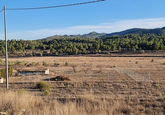 Land in Monóvar/Monóver