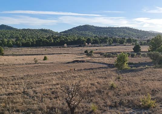 Land in Monóvar/Monóver
